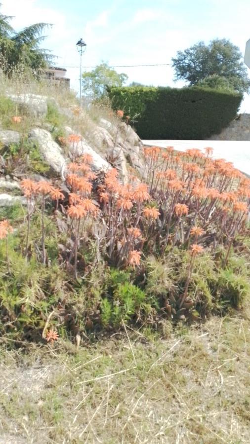 فيلا Casa Rural El Refugi Platja D'Aro 4 Romanyá de la Selva المظهر الخارجي الصورة